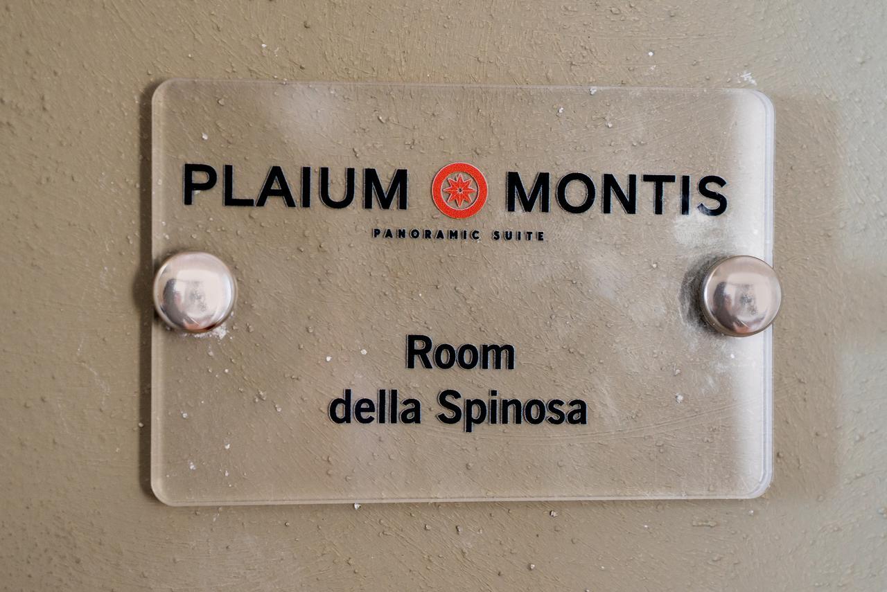 Plaium Montis Bed and Breakfast Salerno Exterior foto